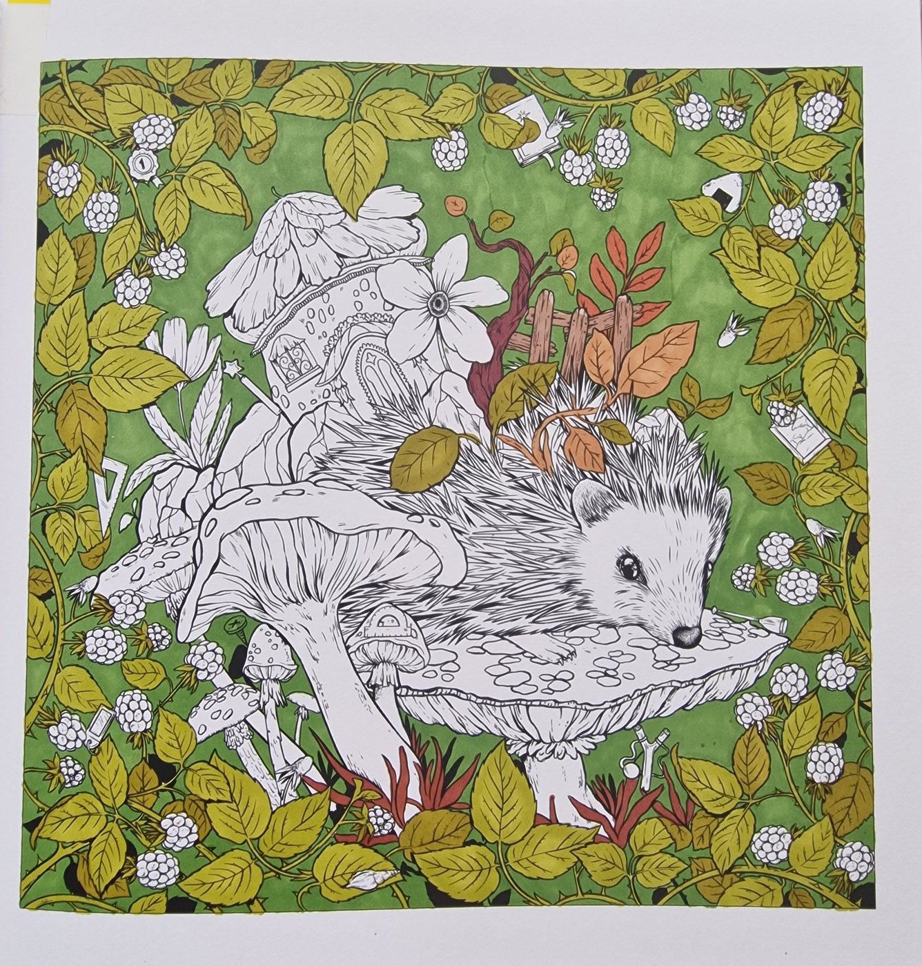 WIP ёжик от Coloring with Marina