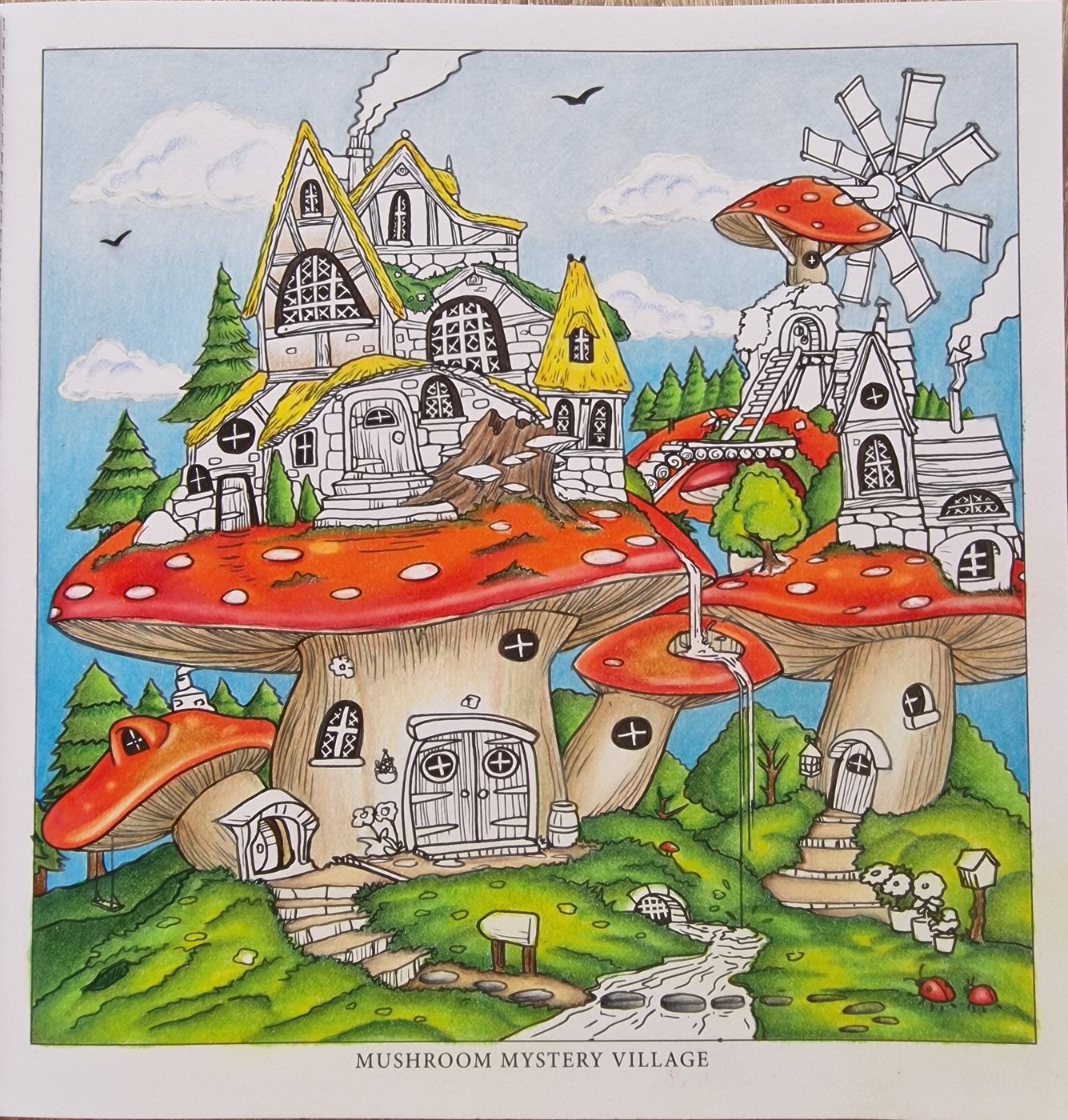 Mushroom mystery village от Coloring with Marina