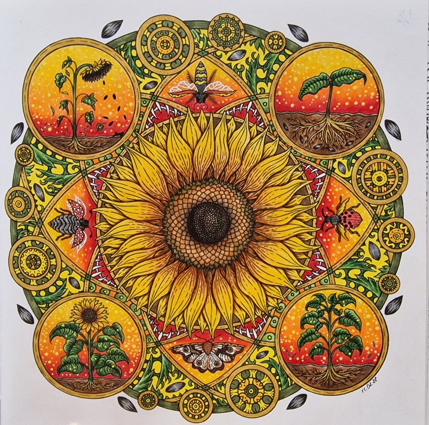 Подсолнух 🌻 от Coloring with Marina