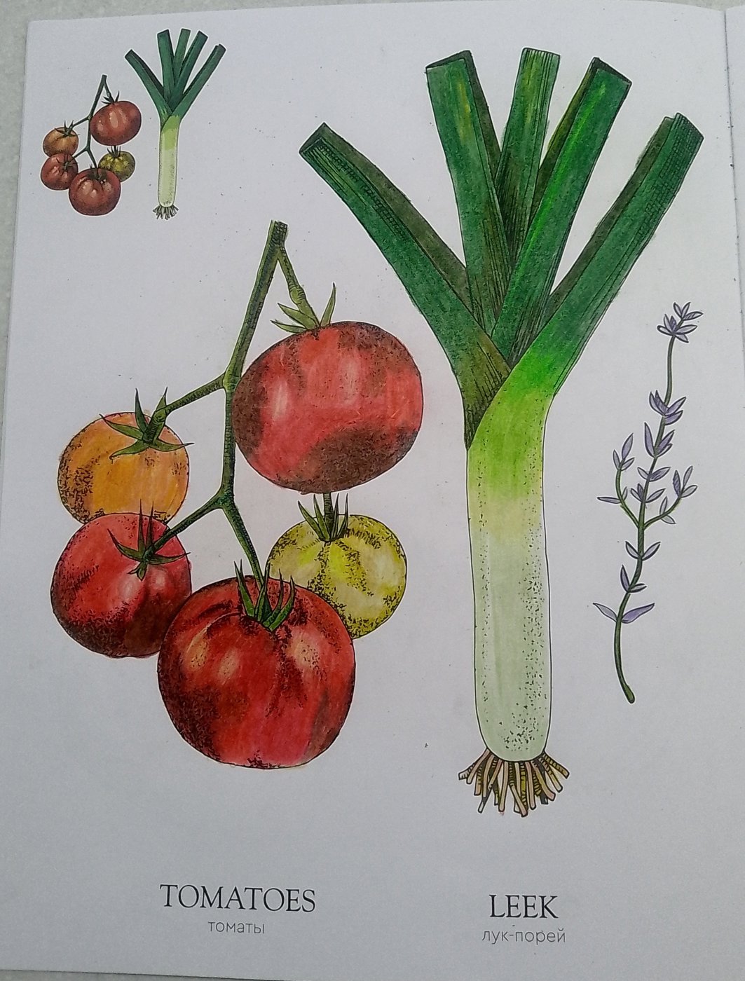 Работа от Wilar