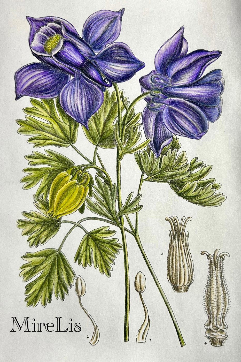 Работа от MireLis