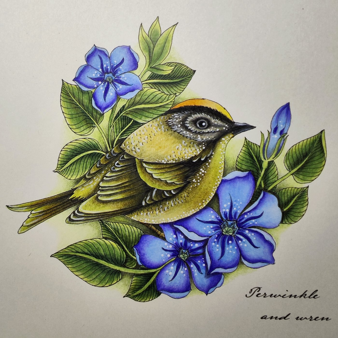 Работа от Rioky