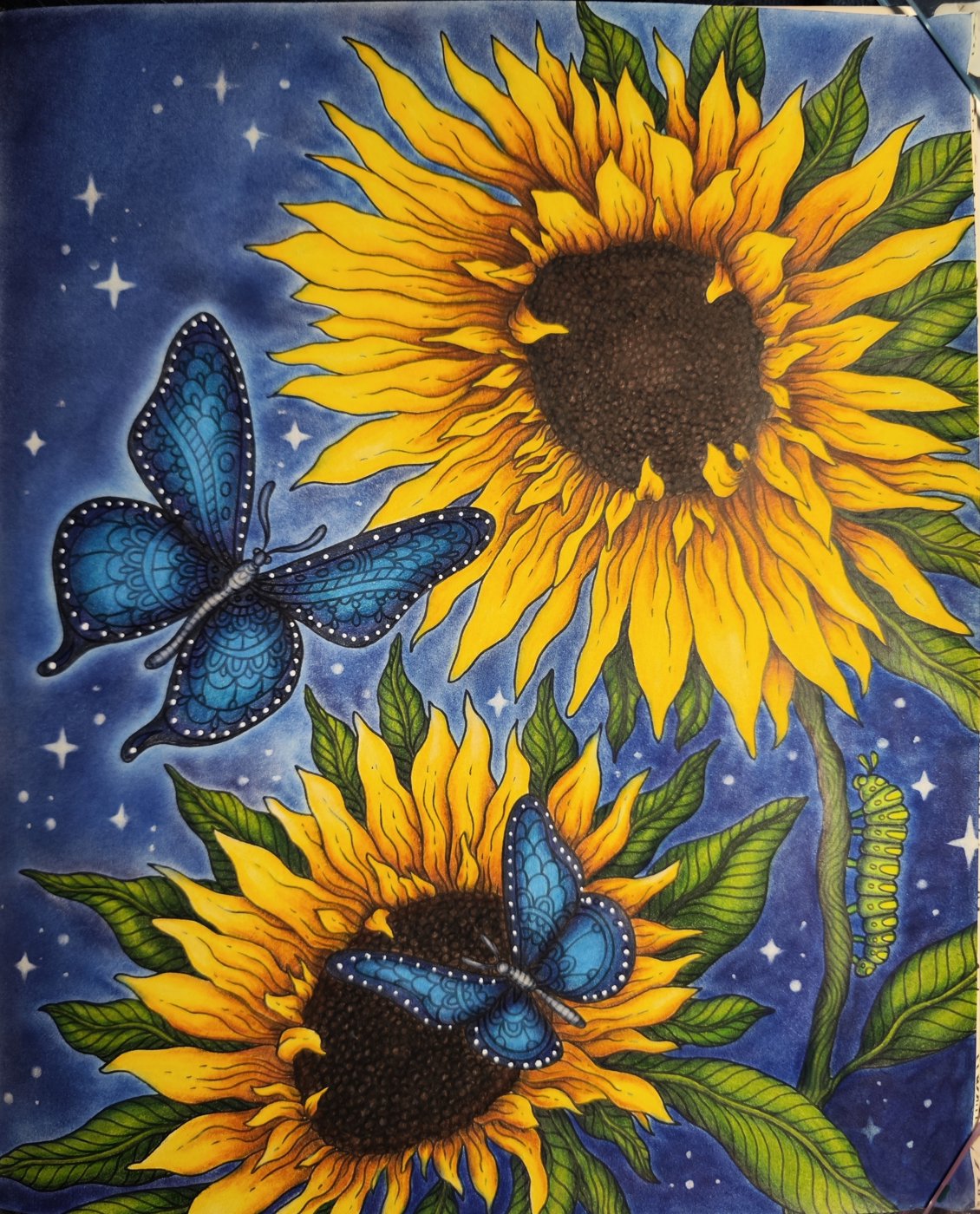 Подсолнухи от Rioky