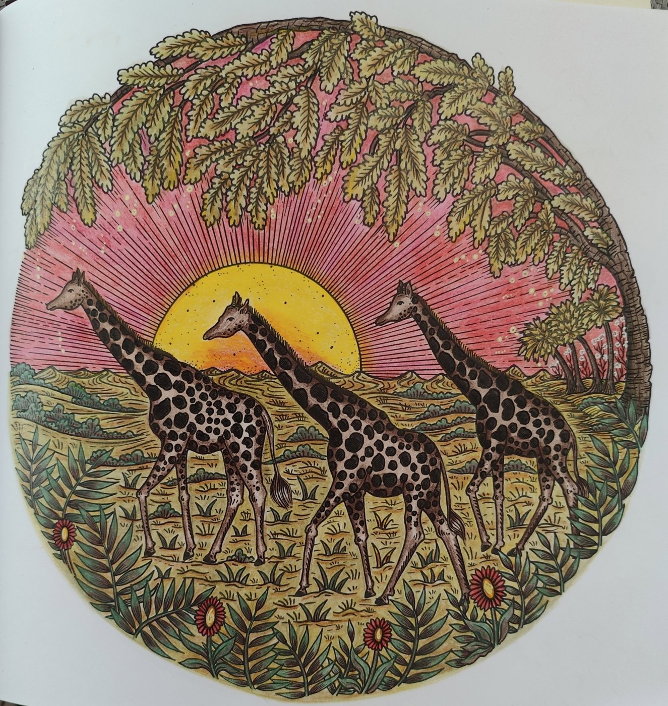 Работа от Helena DevLin