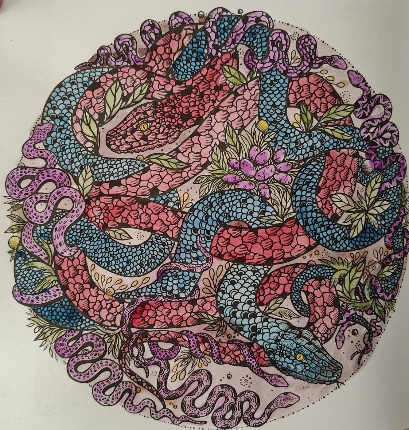 Работа от Helena DevLin