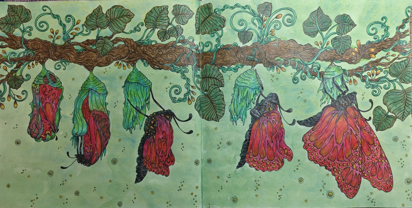 Работа от Helena DevLin