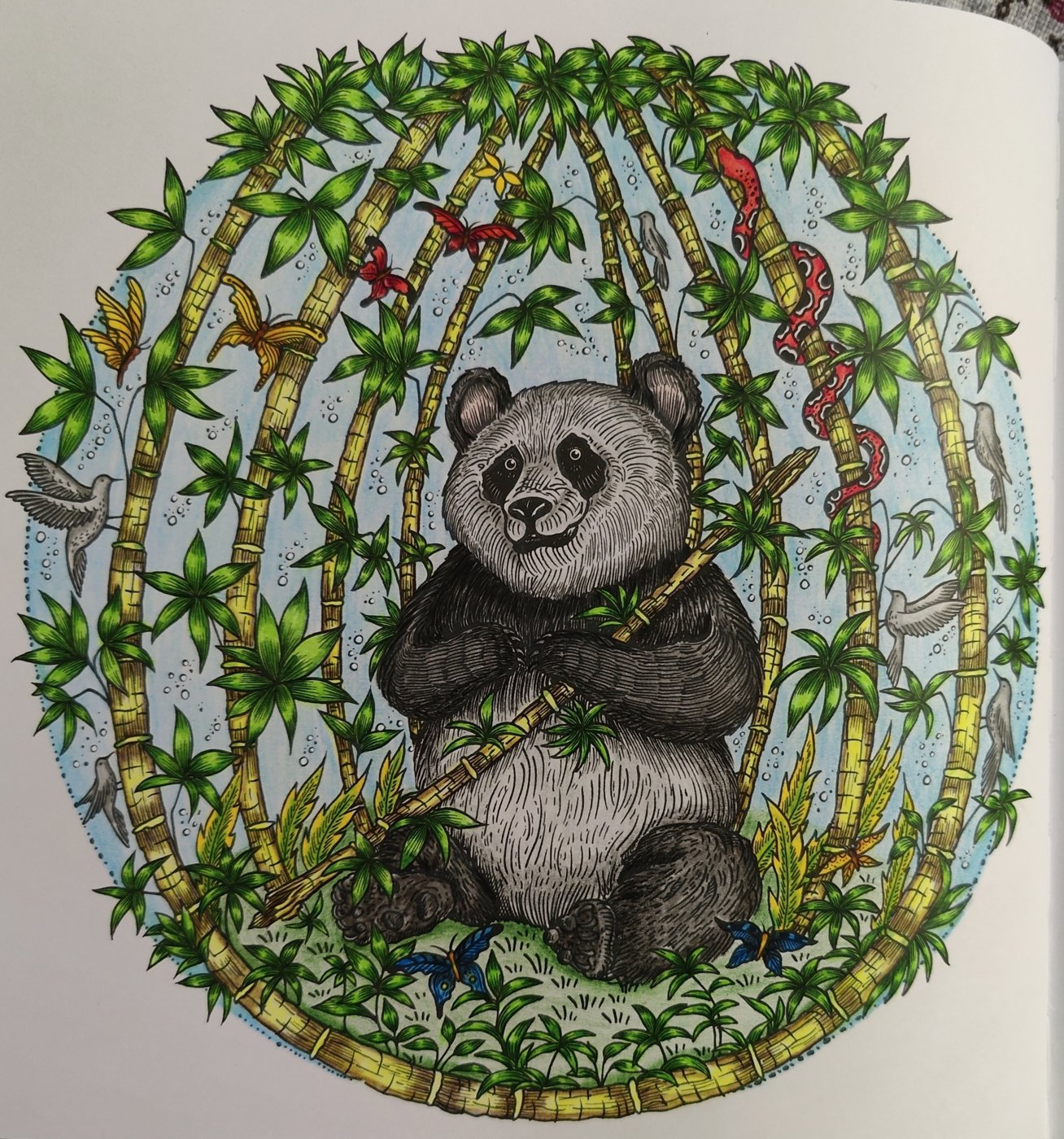 Работа от Helena DevLin