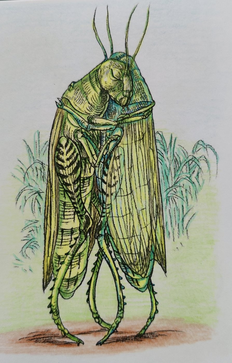 Работа от Helena DevLin