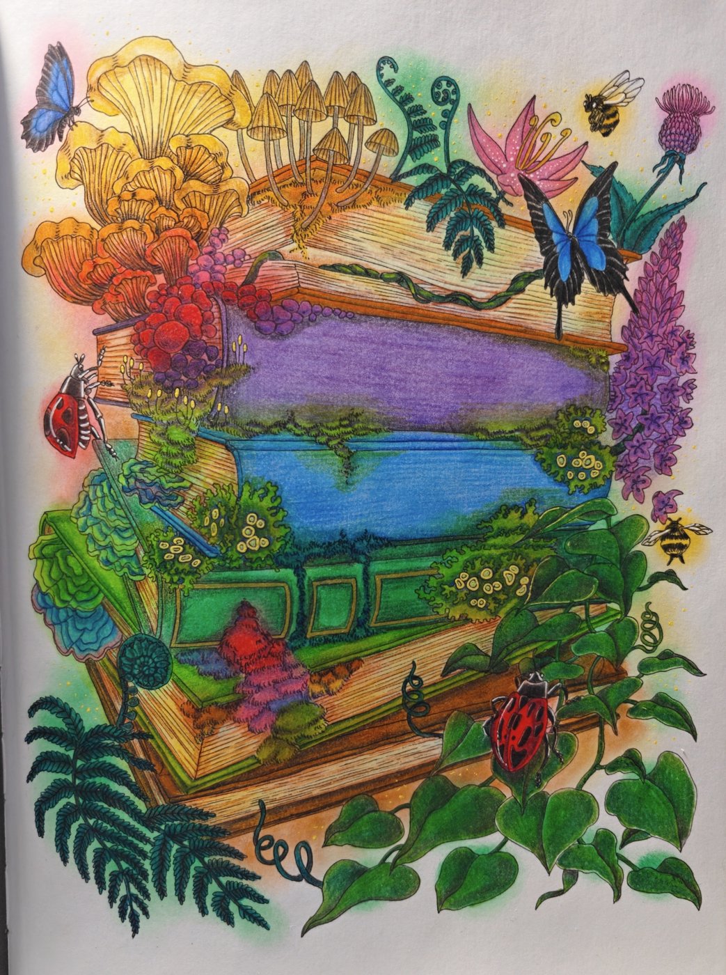 Работа от Helena DevLin