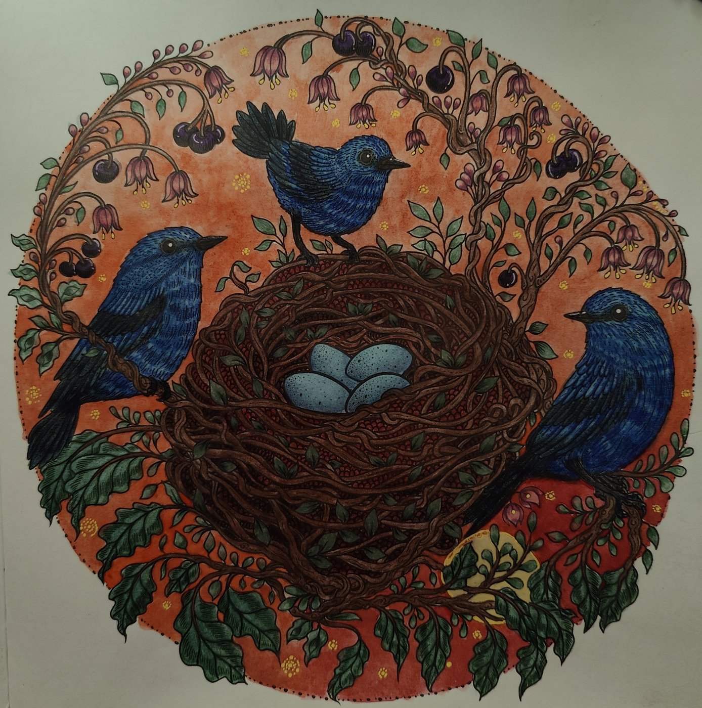 Работа от Helena DevLin