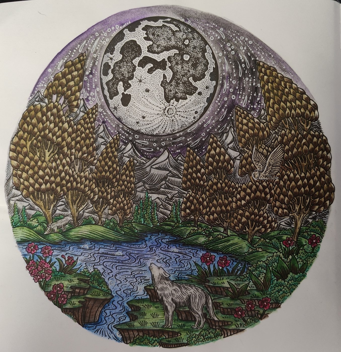 Работа от Helena DevLin