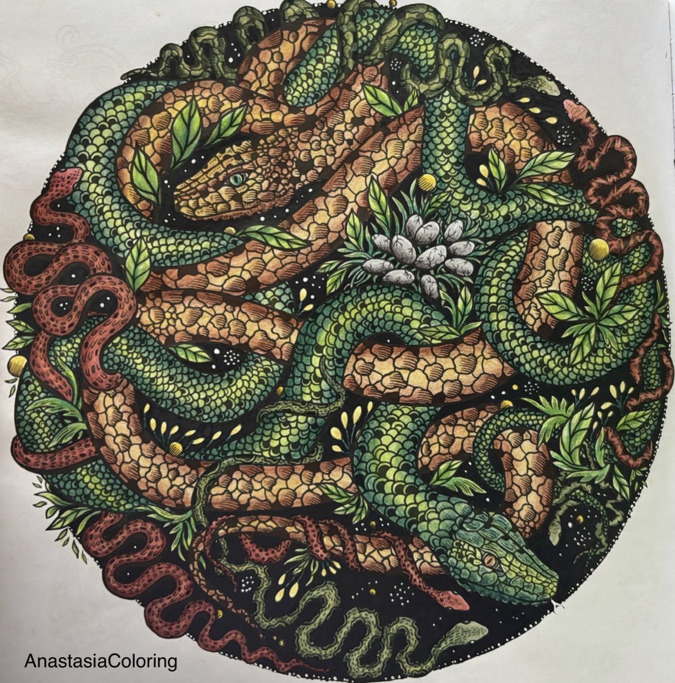 Работа от AnastasiaColoring