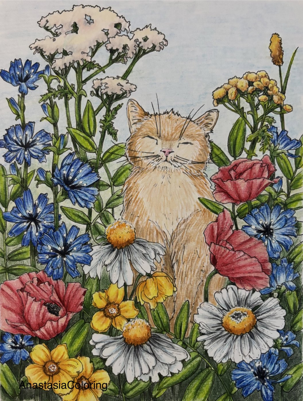 Работа от AnastasiaColoring