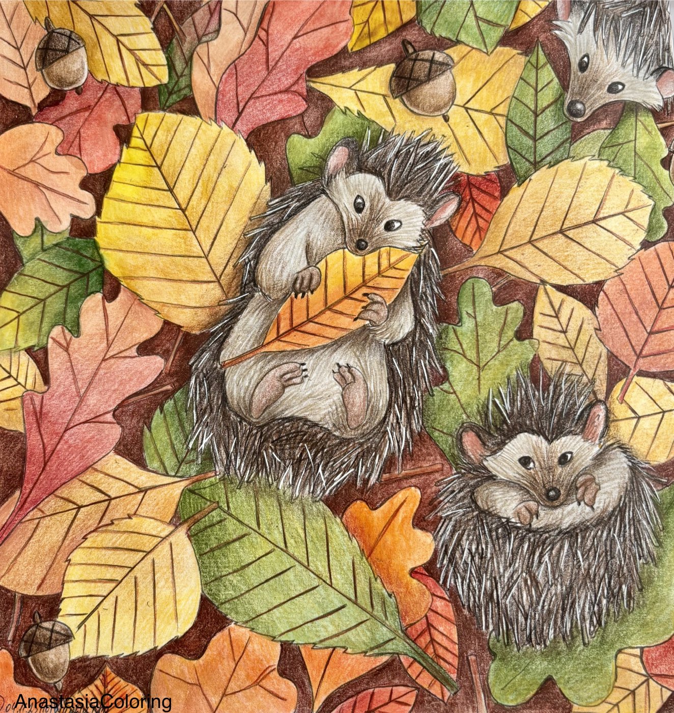 Работа от AnastasiaColoring