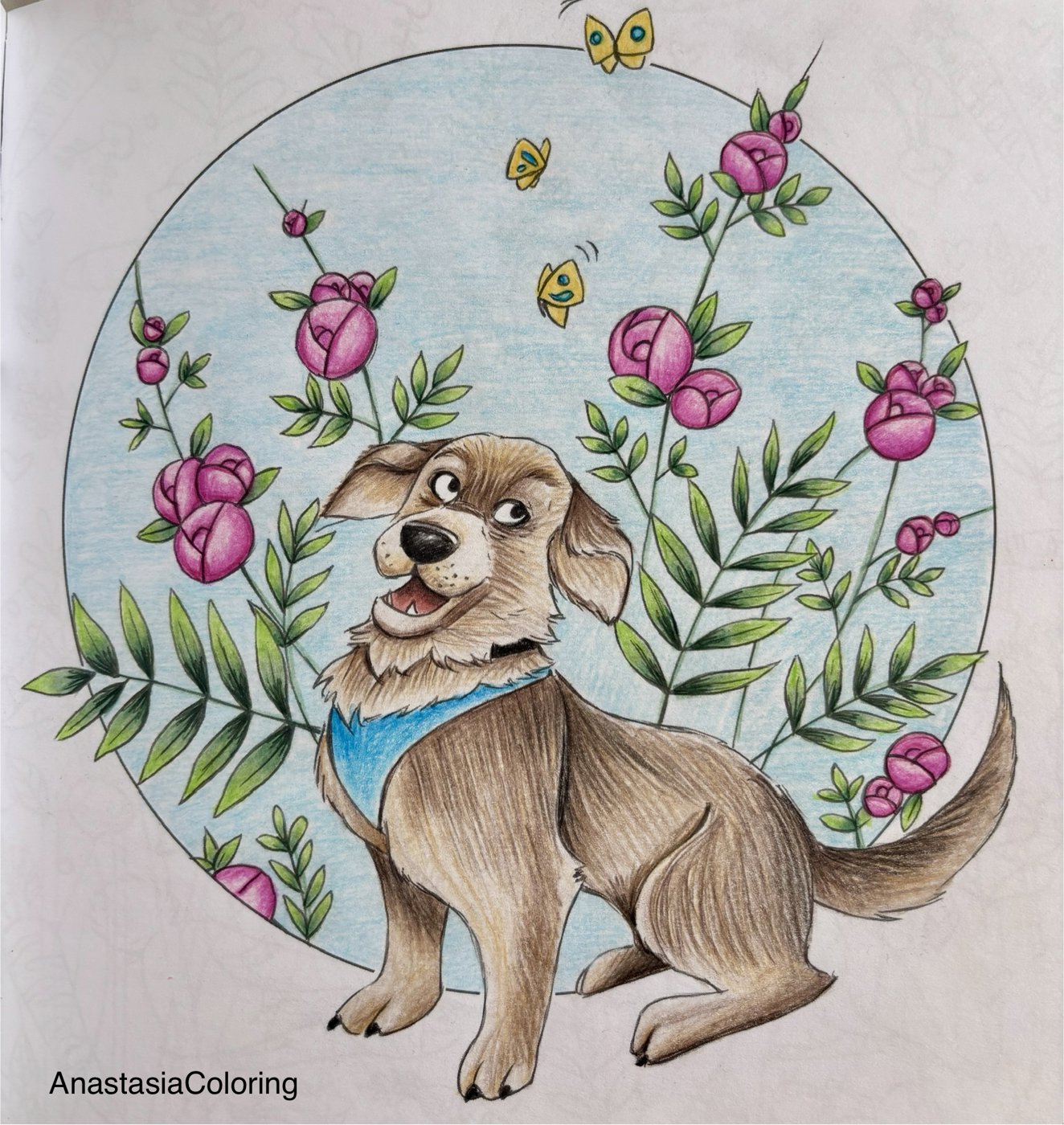 Работа от AnastasiaColoring