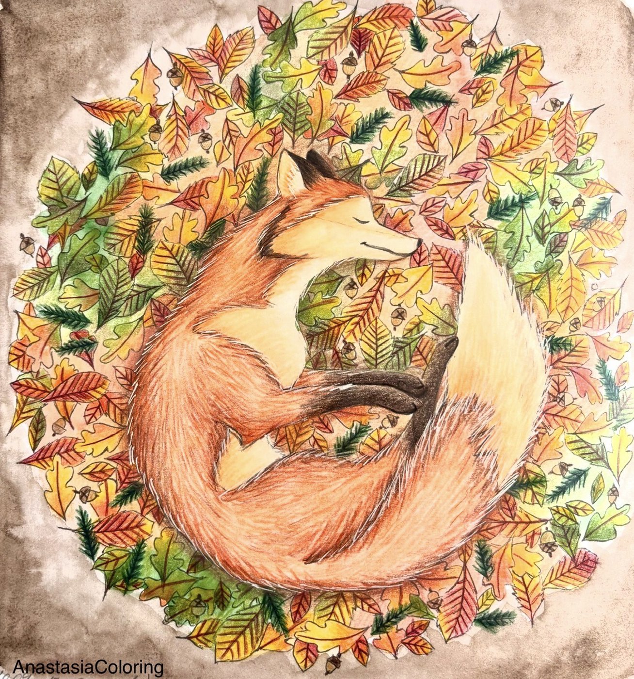 Работа от AnastasiaColoring