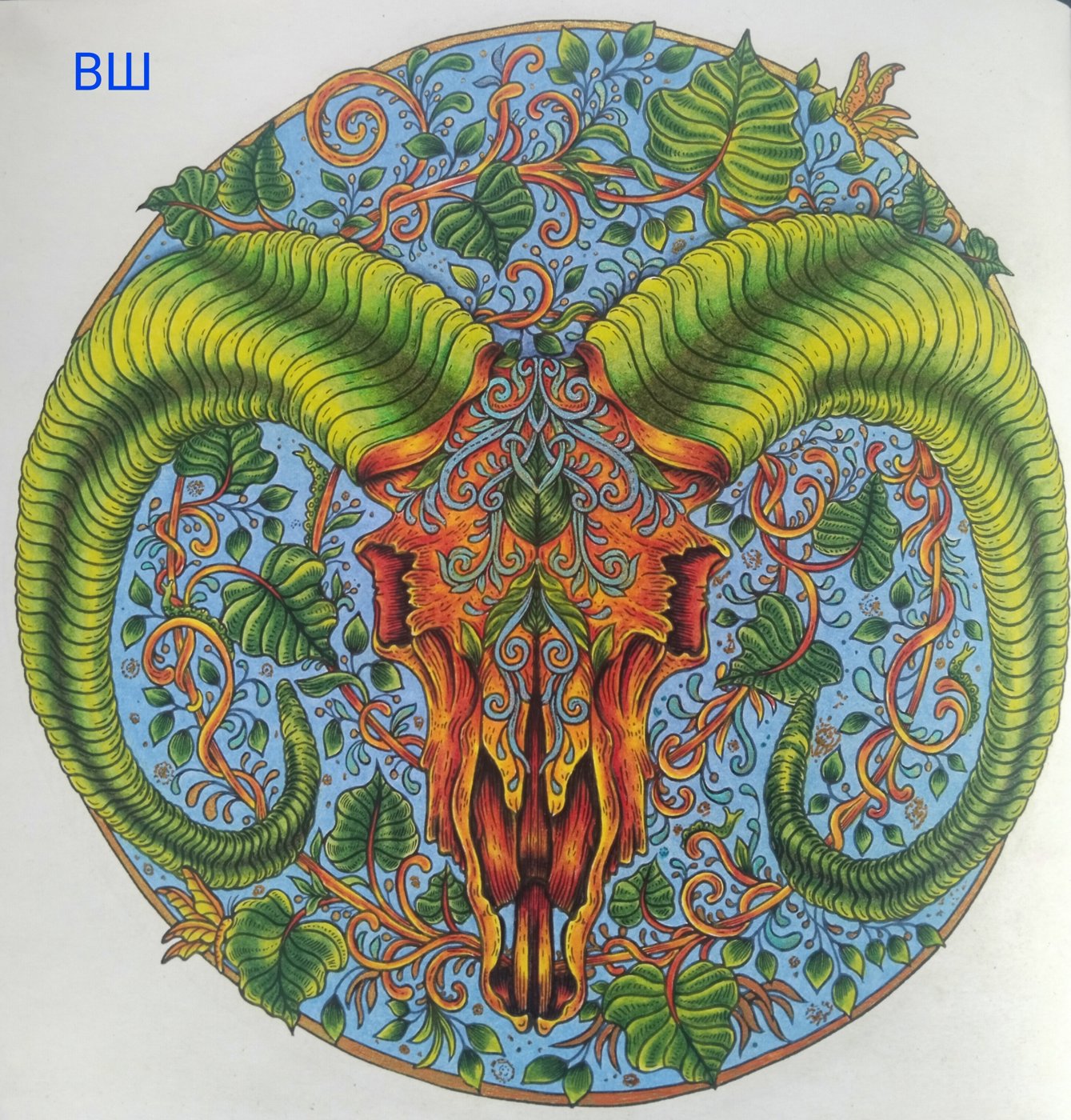 Рога от Весёлый Шакрадан