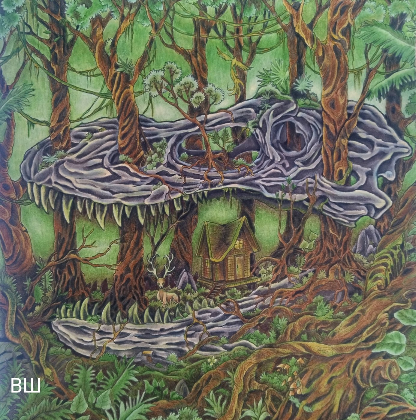 Лесная "девочка" -))) от Весёлый Шакрадан