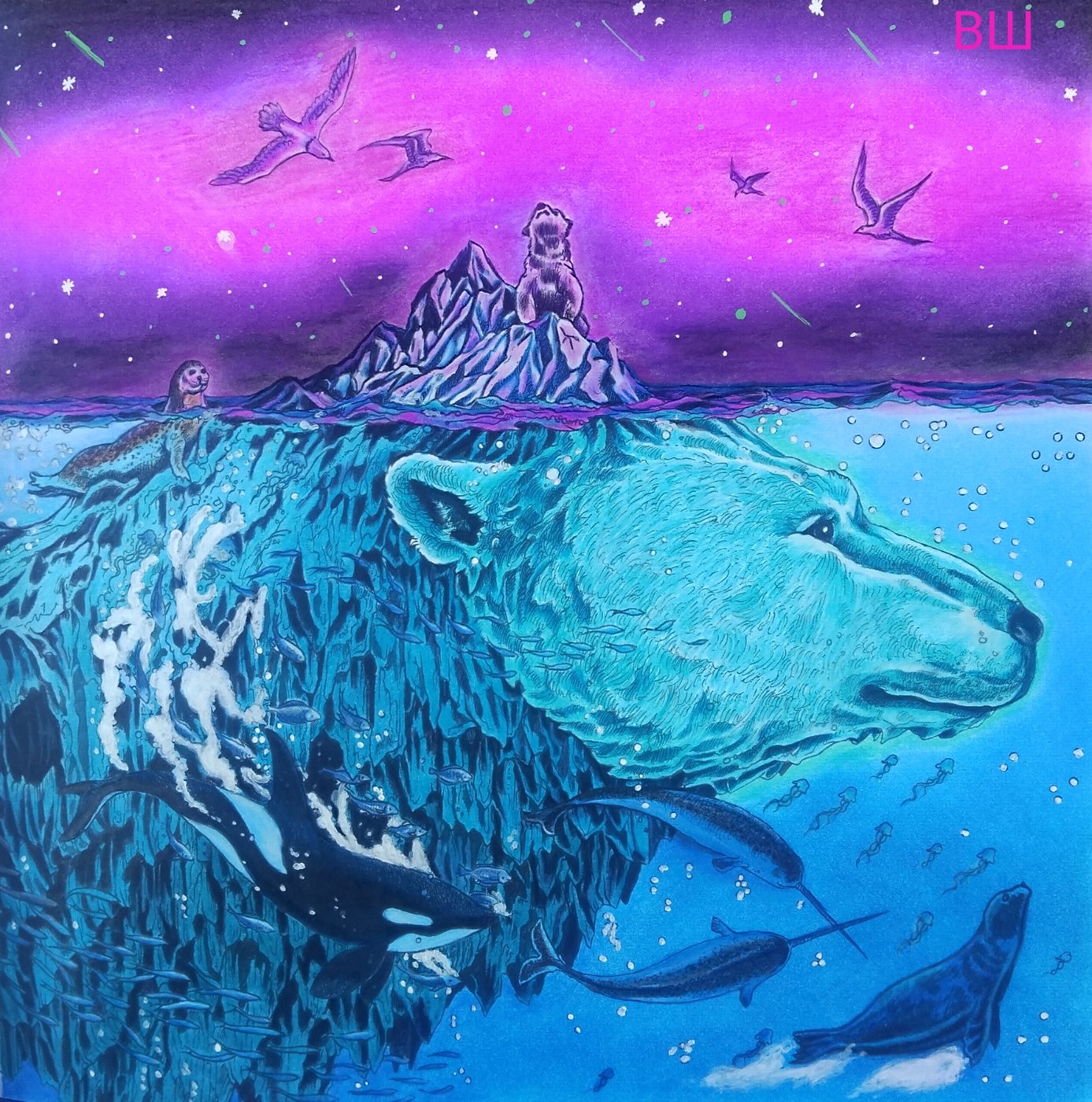 Ветер(Мишка) Северный от Весёлый Шакрадан