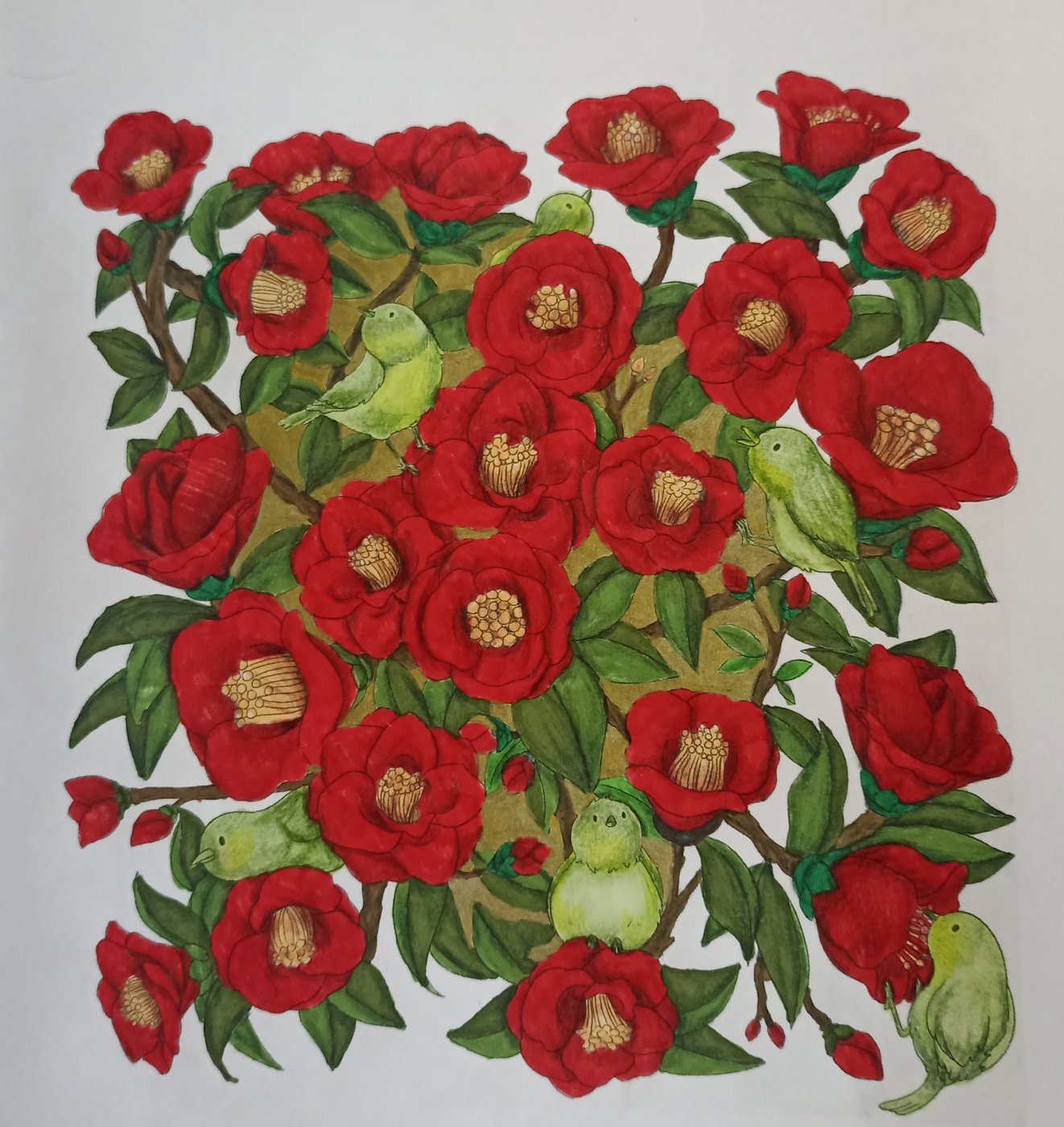 Камелия от Mariska