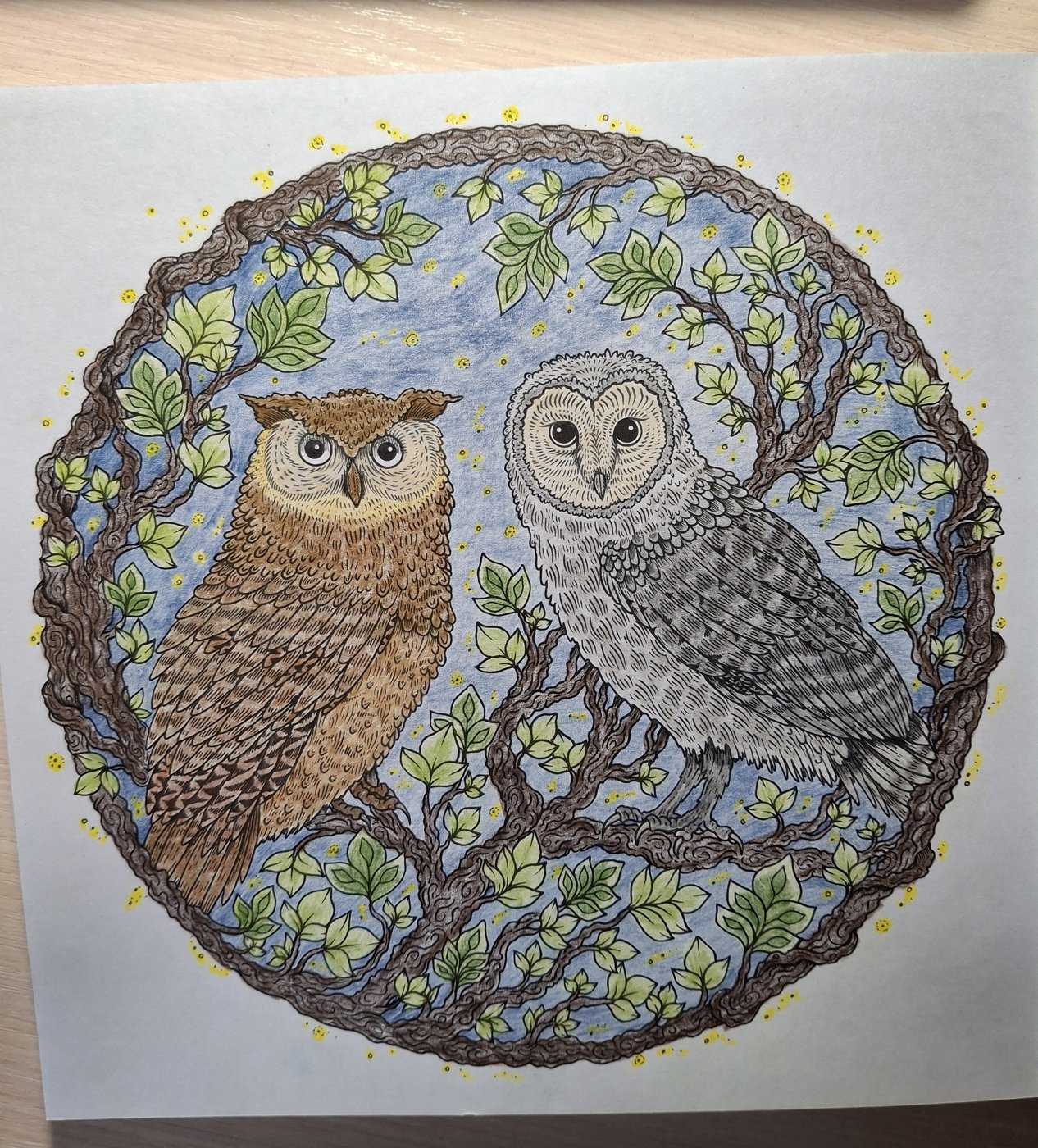 Работа от iriska_hp