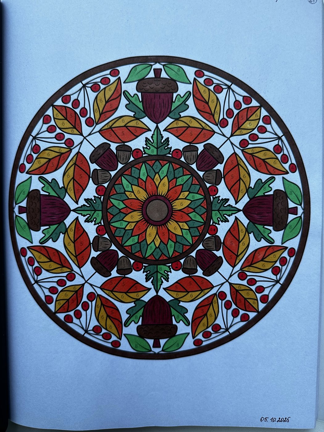 8/100 (The greatest hits of Sachin Sachdeva) от Veto4kasv