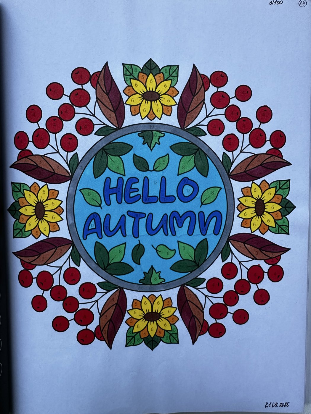 3/100 (The greatest hits of Sachin Sachdeva) от Veto4kasv