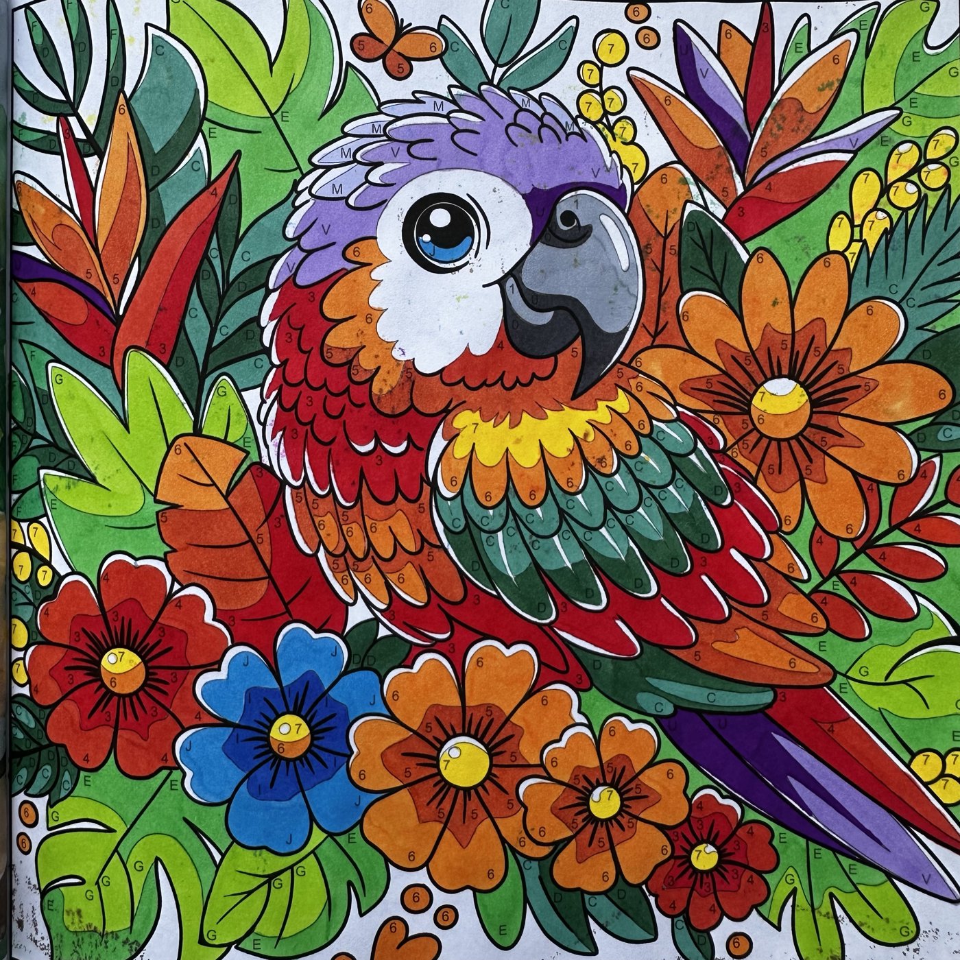 6/30 Попугай (Summer vibes) от Veto4kasv