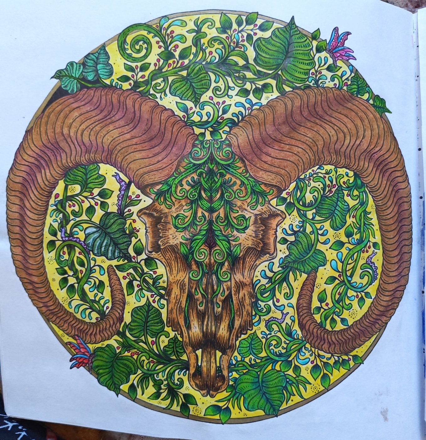 Работа от Stasay83