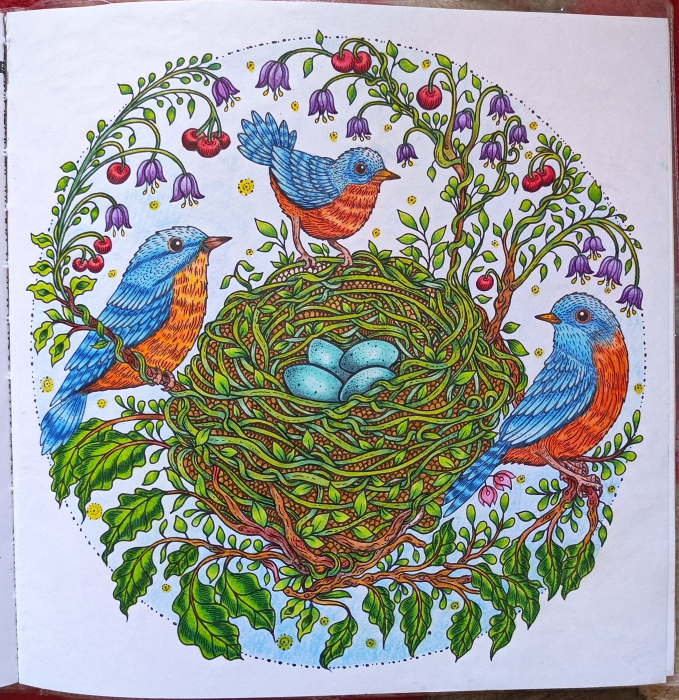 Работа от Stasay83