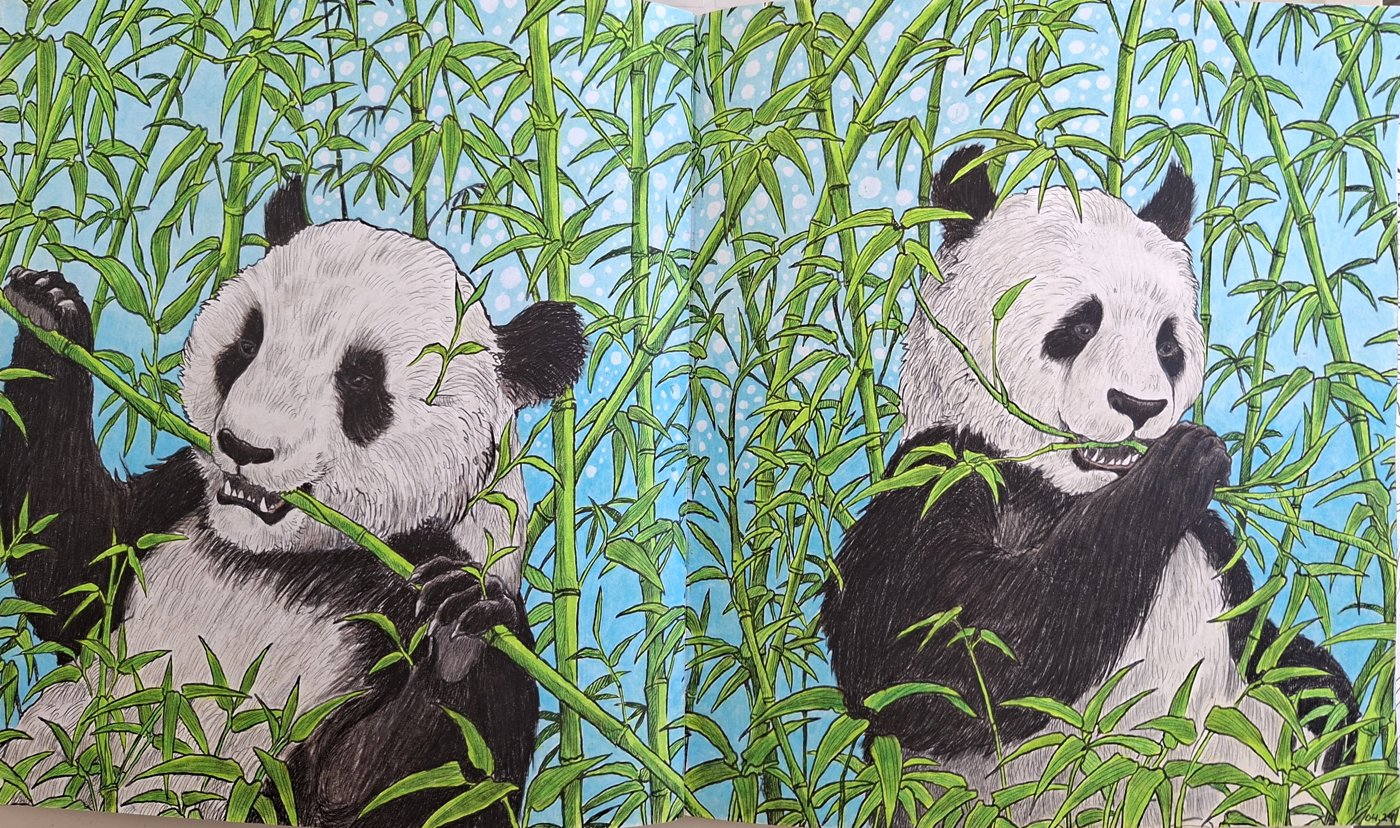 Большая панда от bazderaa