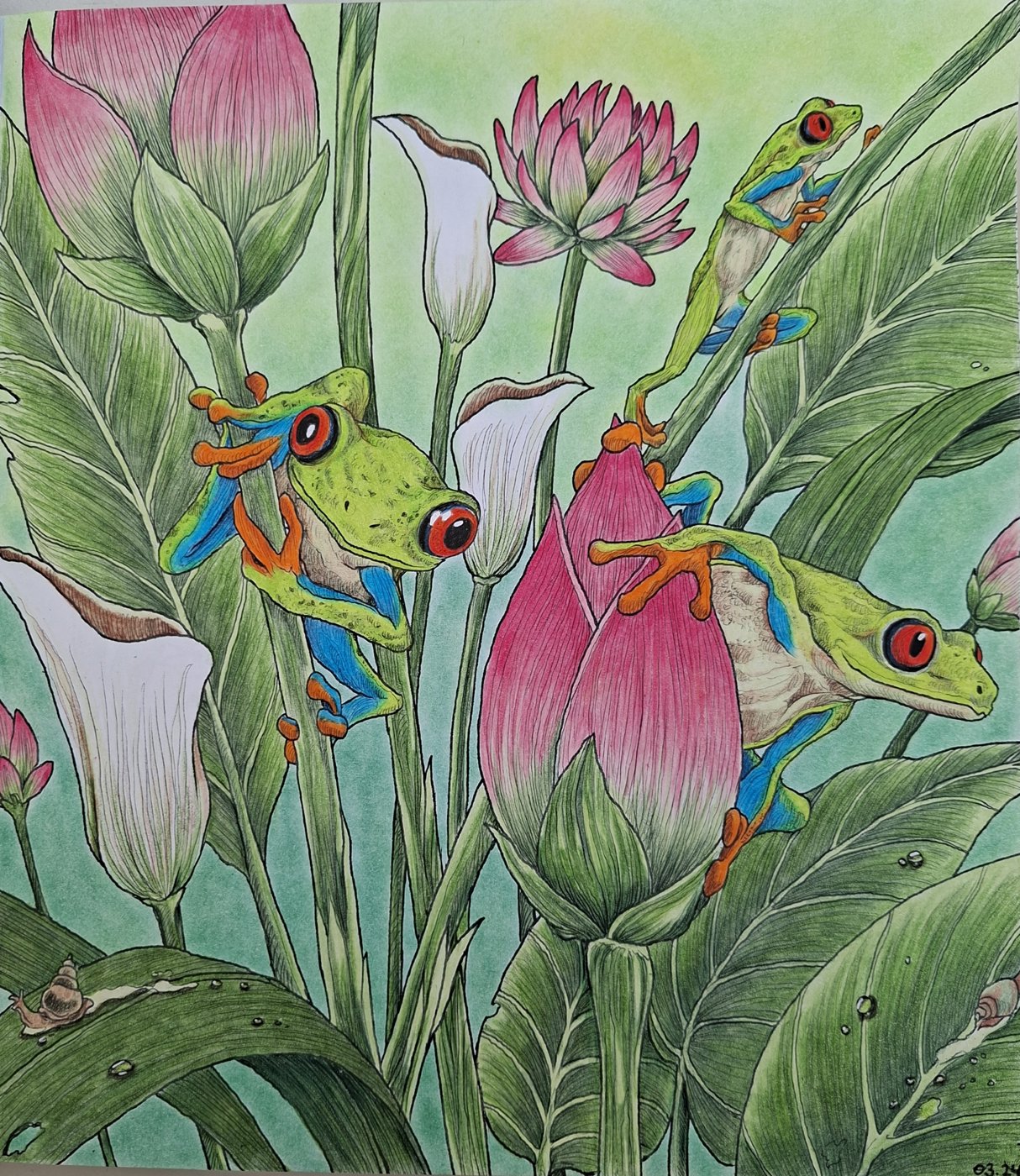 Яркоглазая квакша-лемур от bazderaa