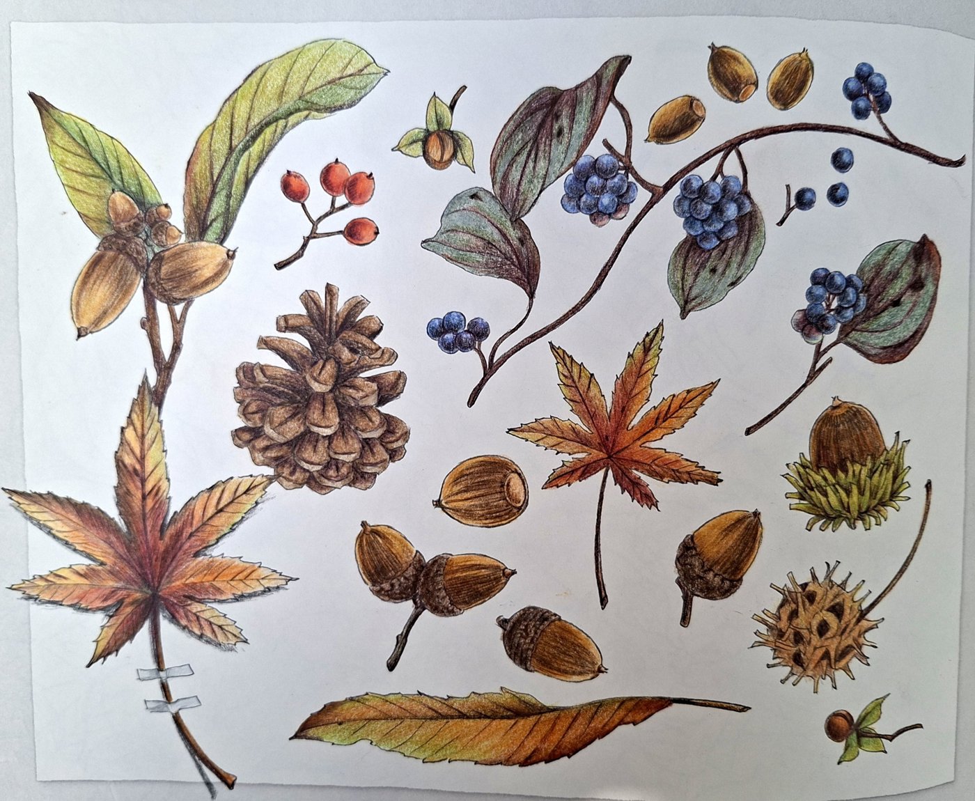 Работа от bazderaa