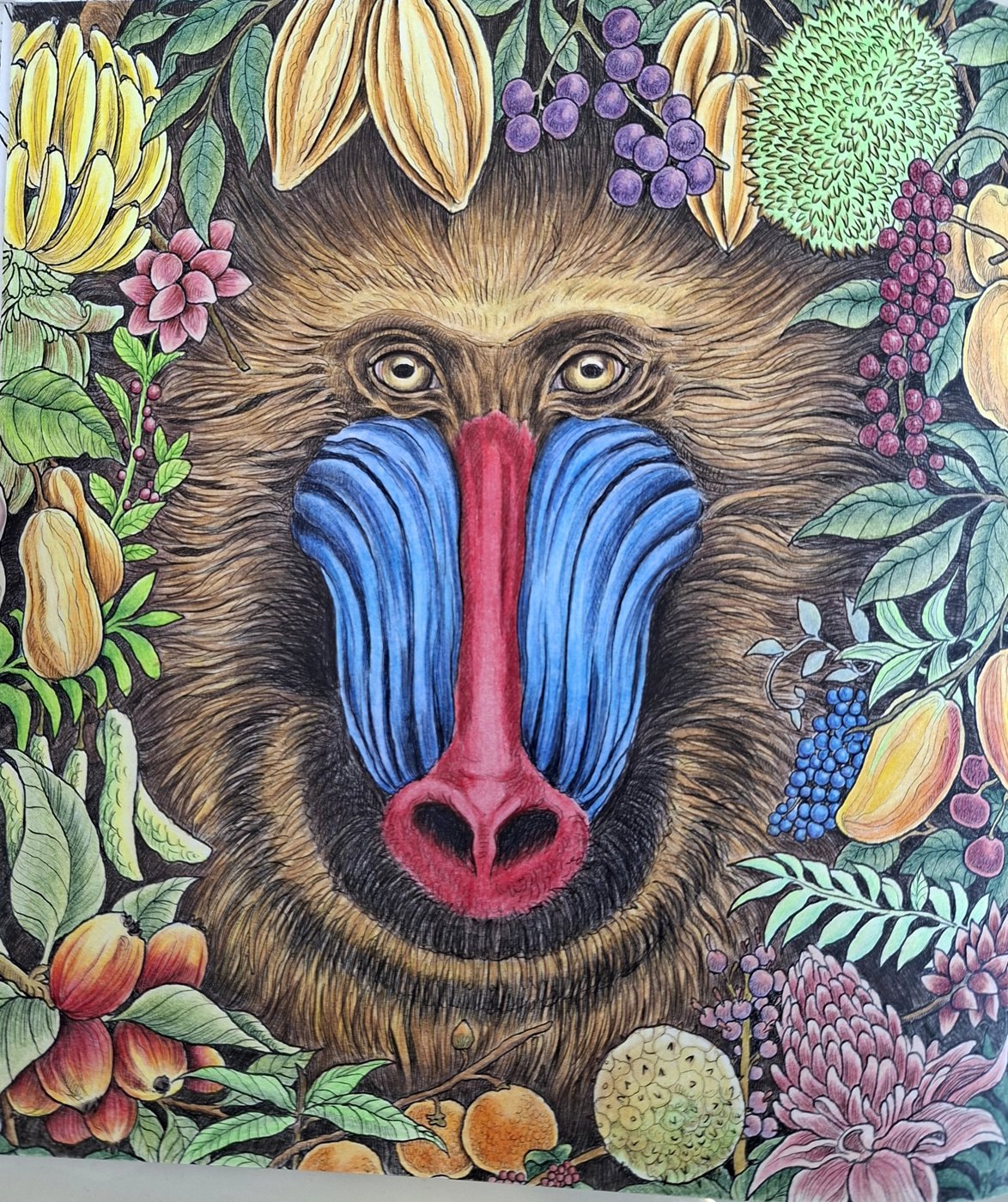 Мандрил от bazderaa