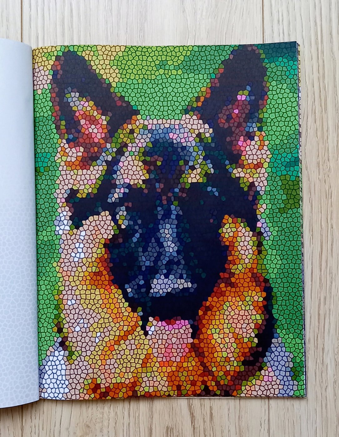 Работа от Katrin-hobby (1/2)