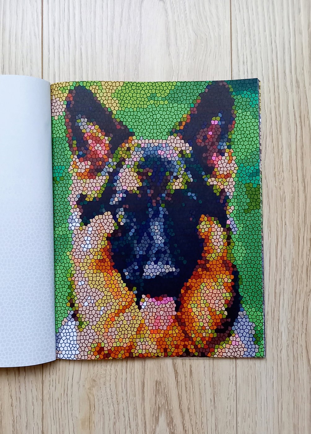 Работа от Katrin-hobby (2/2)