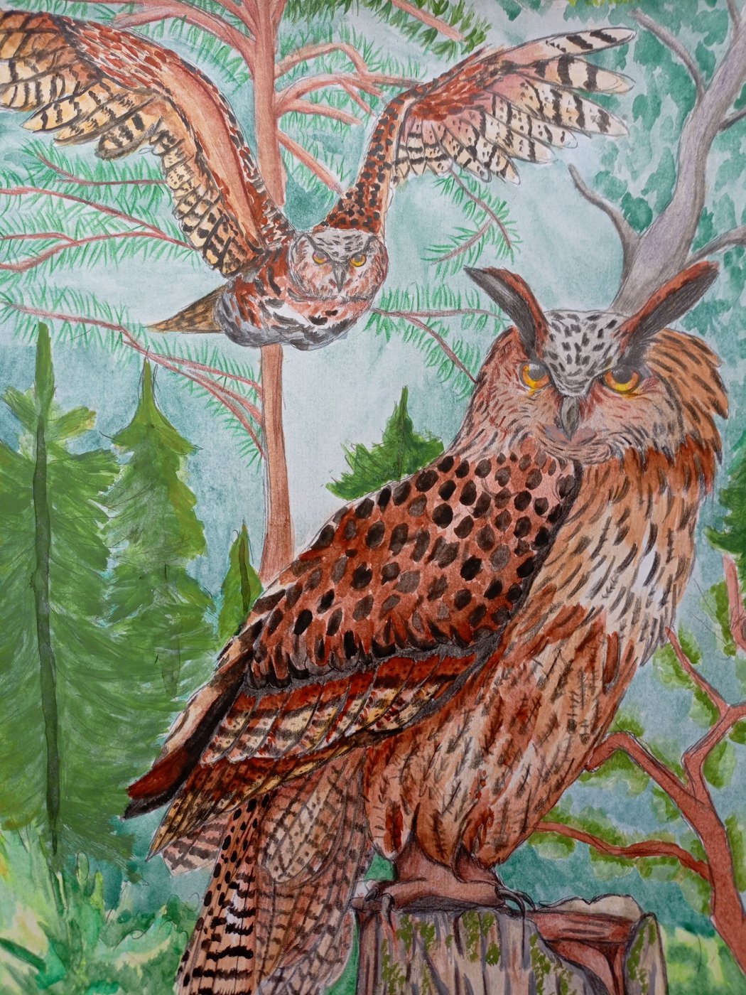 Филин от Marusya