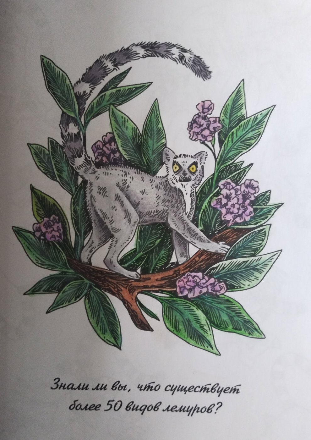 Работа от Tatyanaa