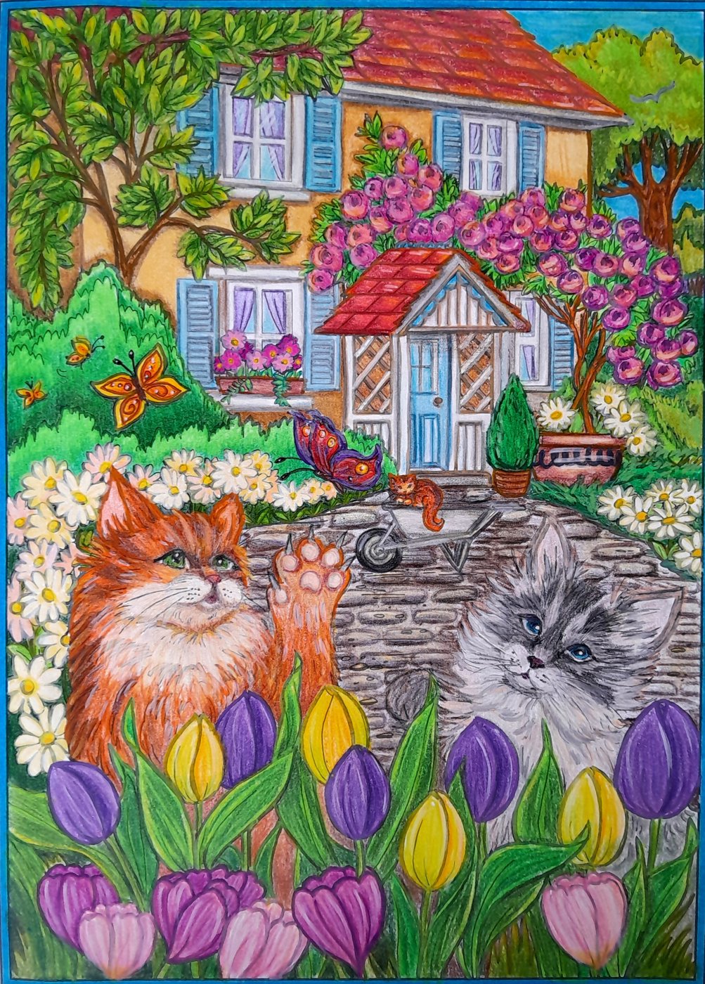 Котам раздолье от AlineD