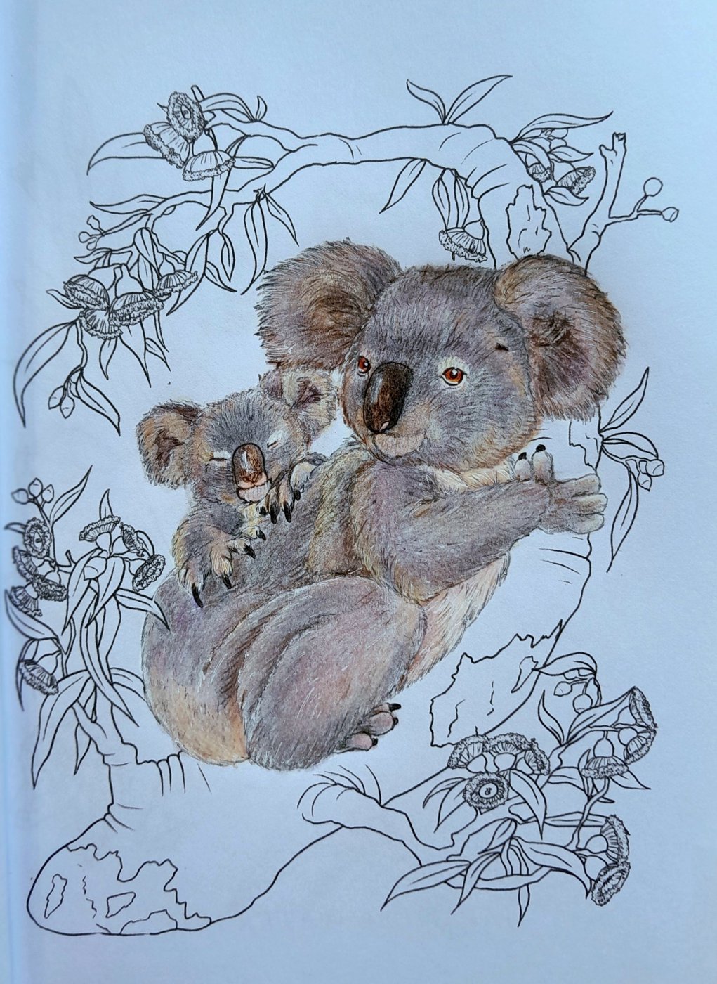Коалы от AlineD (2/2)