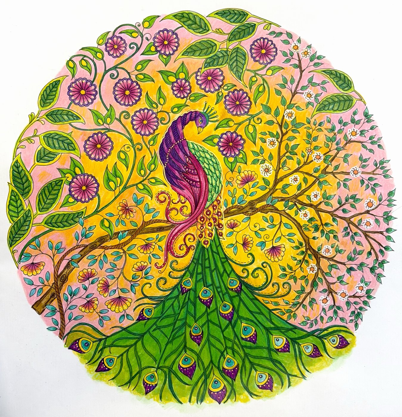 Работа от TinaProl