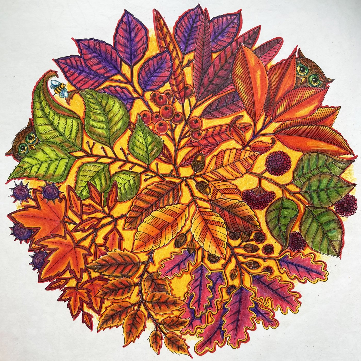 Работа от TinaProl