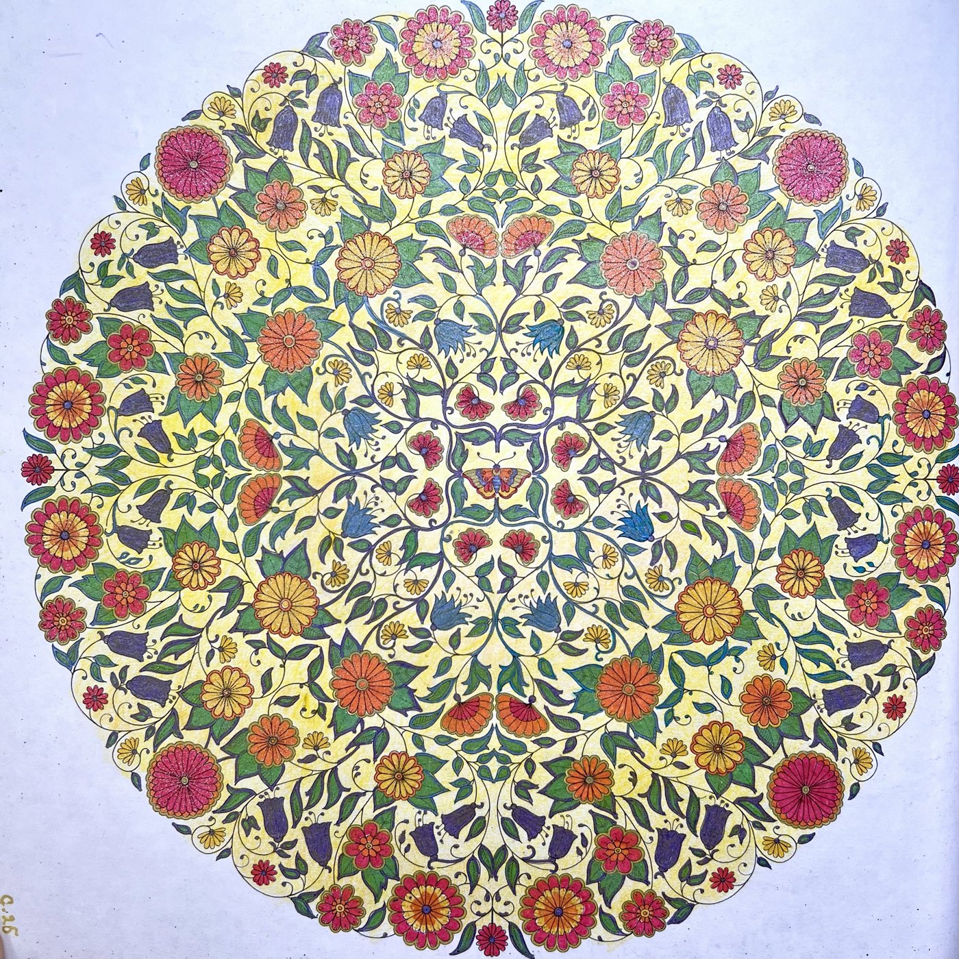 Работа от TinaProl