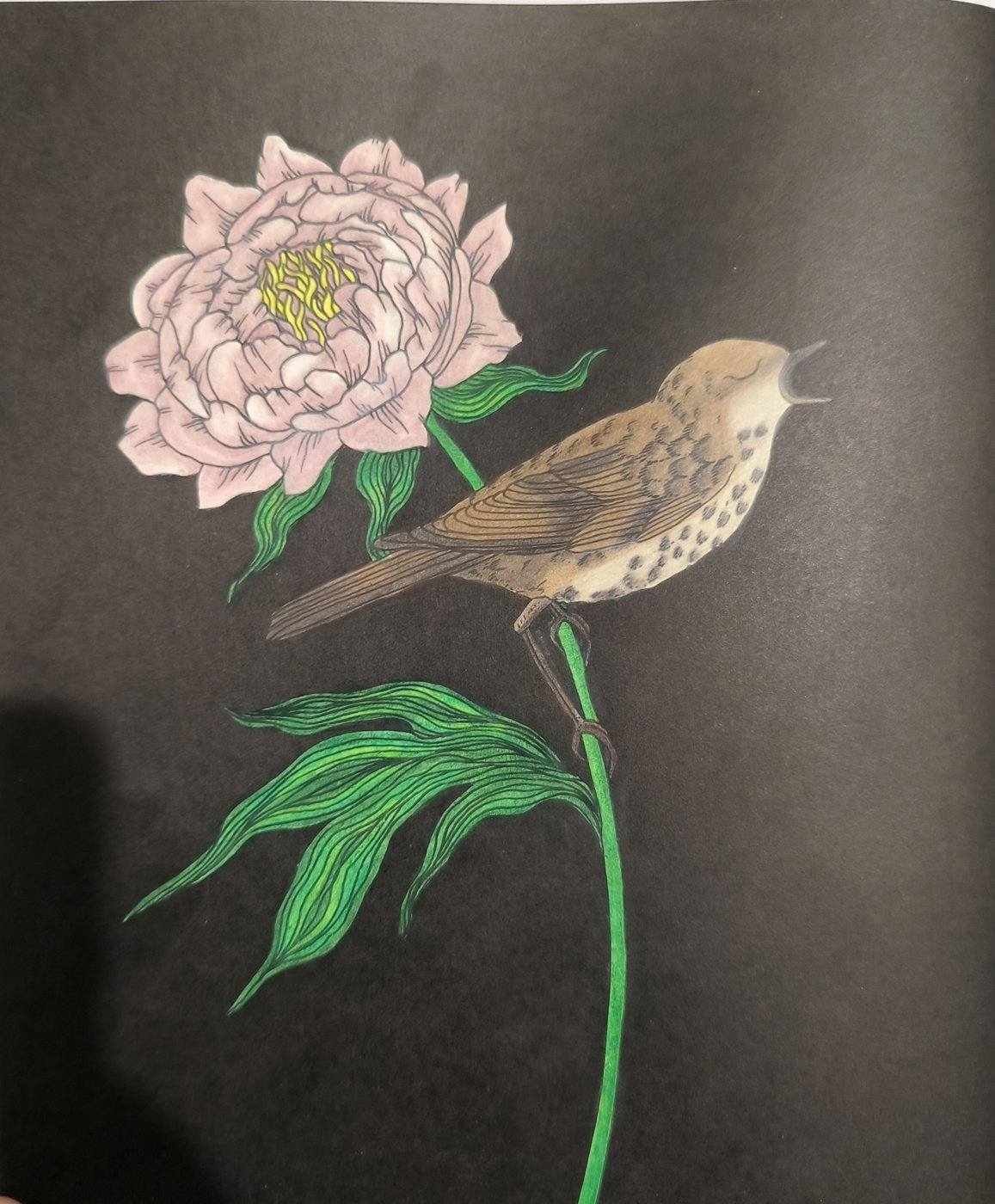 Работа от Kimerisa