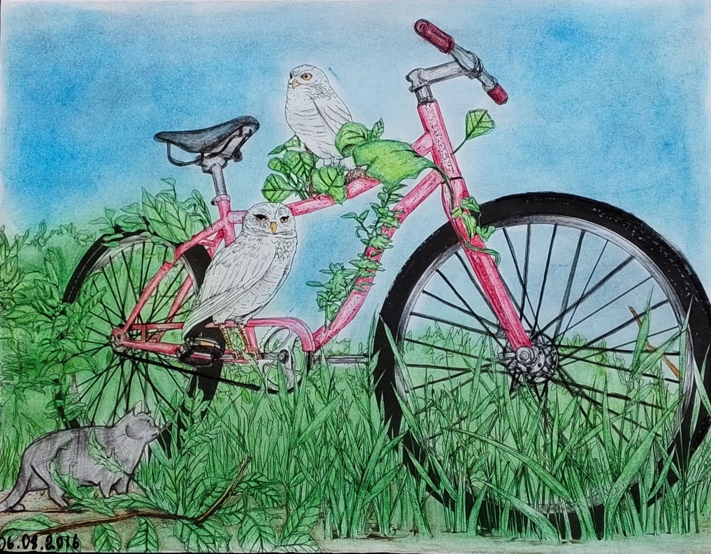 Работа от DarColorBook