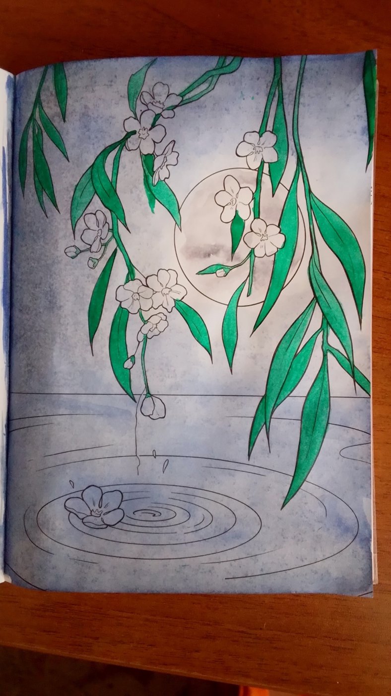 Работа от DarColorBook (3/3)