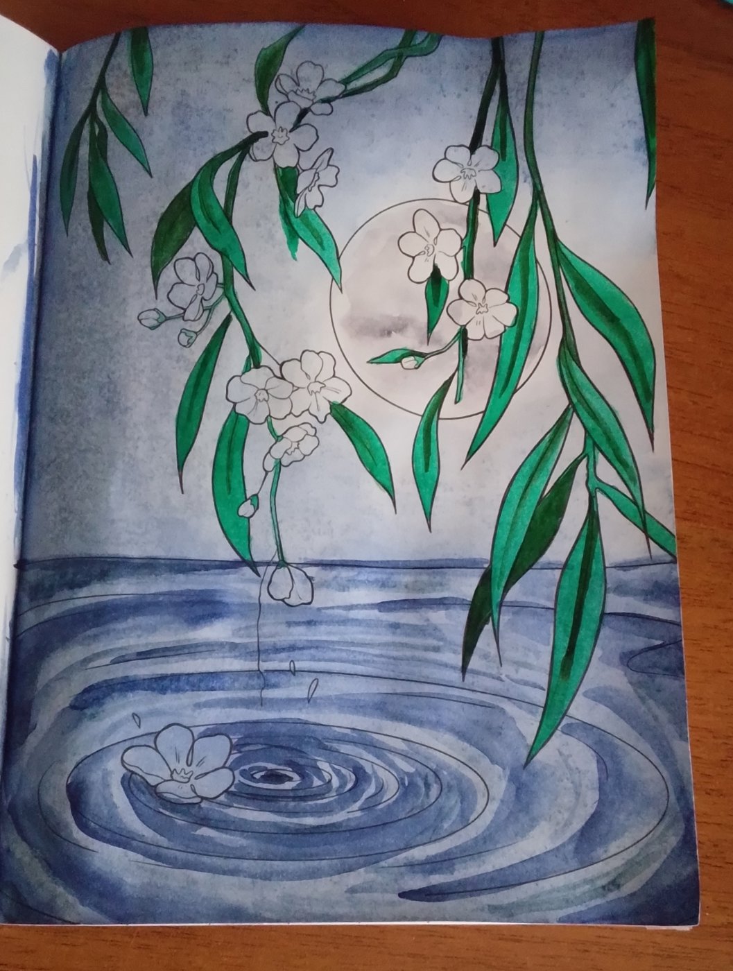 Работа от DarColorBook (2/3)