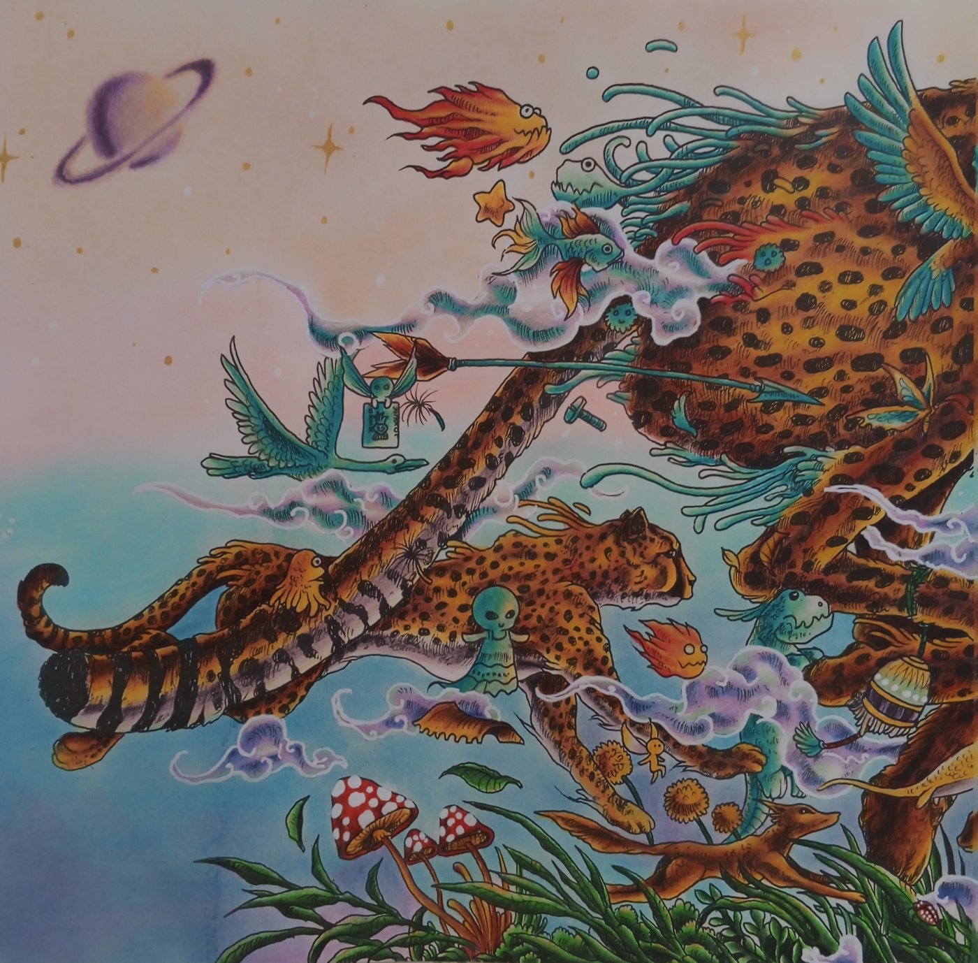 Гепарды от AliMi (2/3)