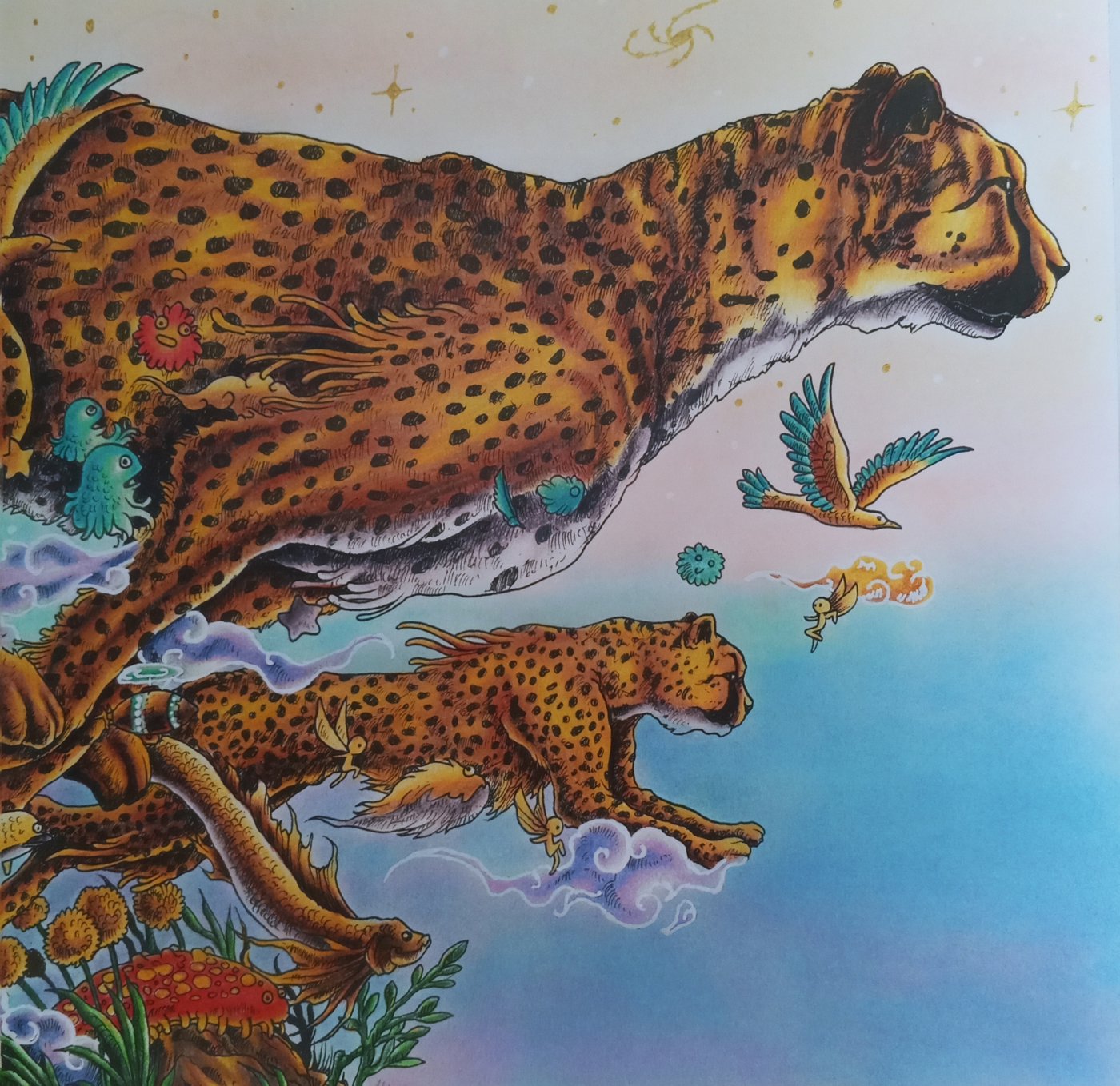 Гепарды от AliMi (3/3)