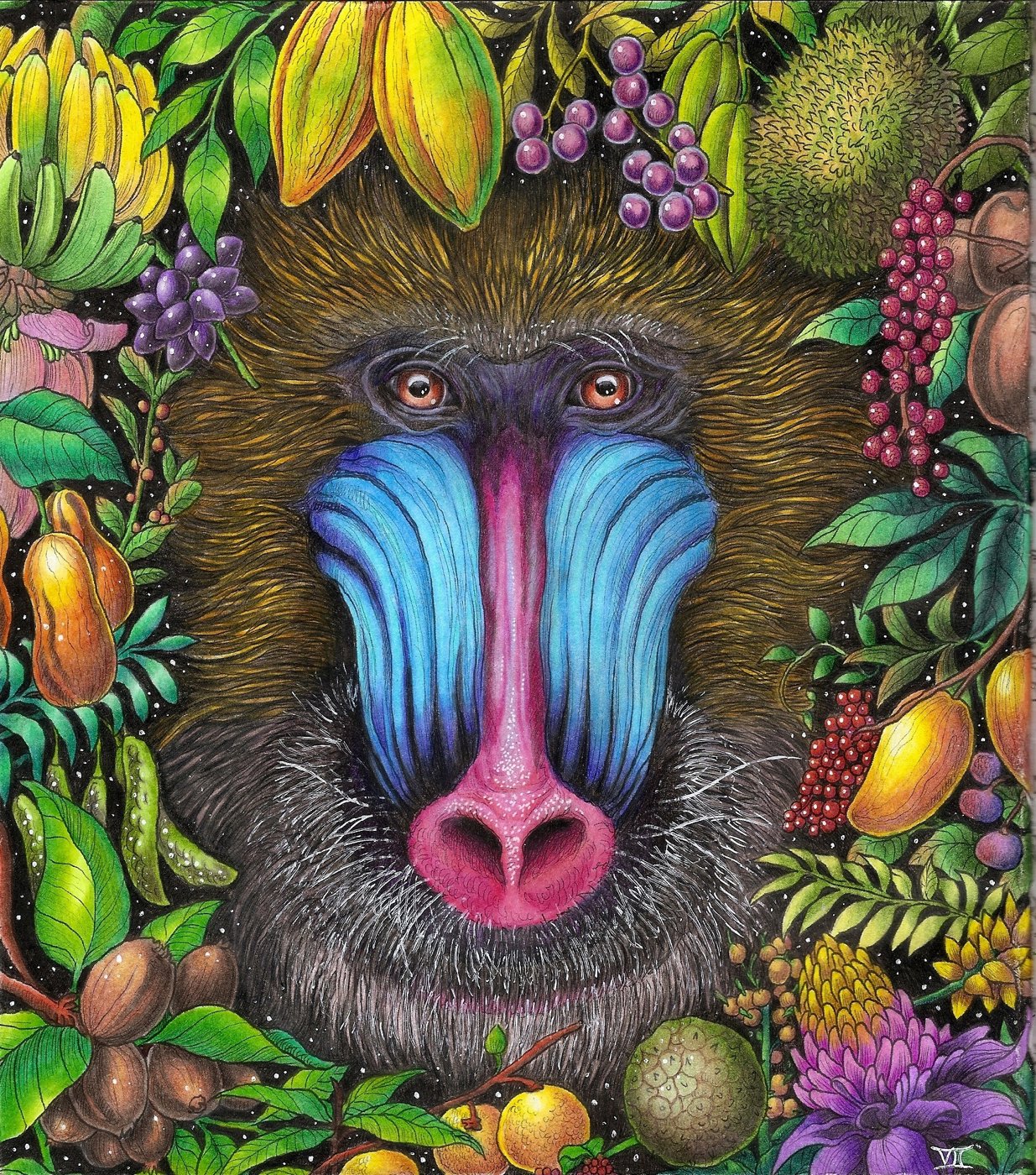 Мандрил от Velle E.